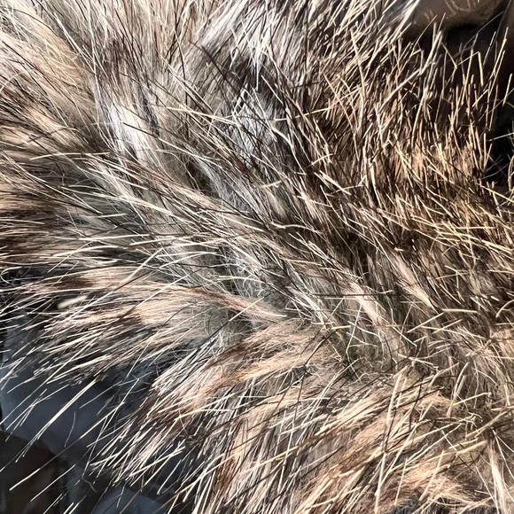 Columbia Black Small Women’s Coat with Removable Fur Hood - Picture 9 of 10